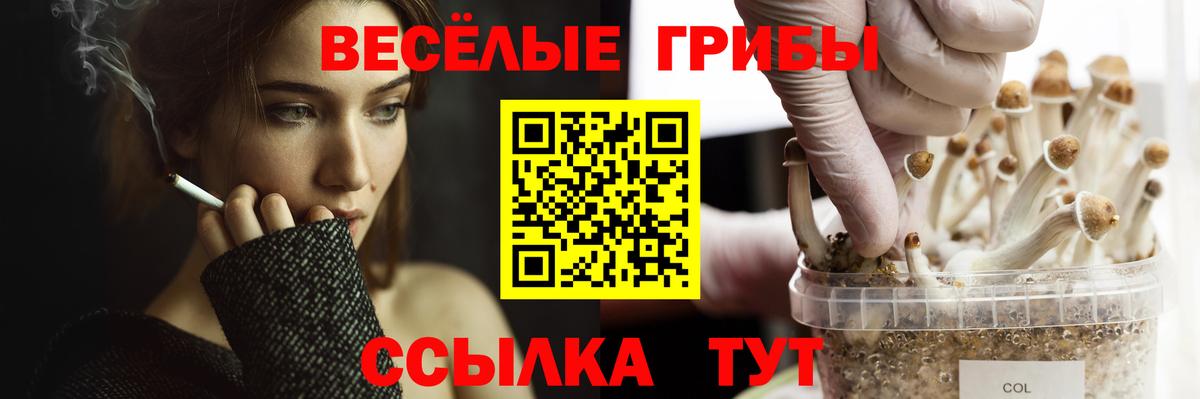 Чехов  Галлюциногенные грибы прущие грибы  Вход с VPN 